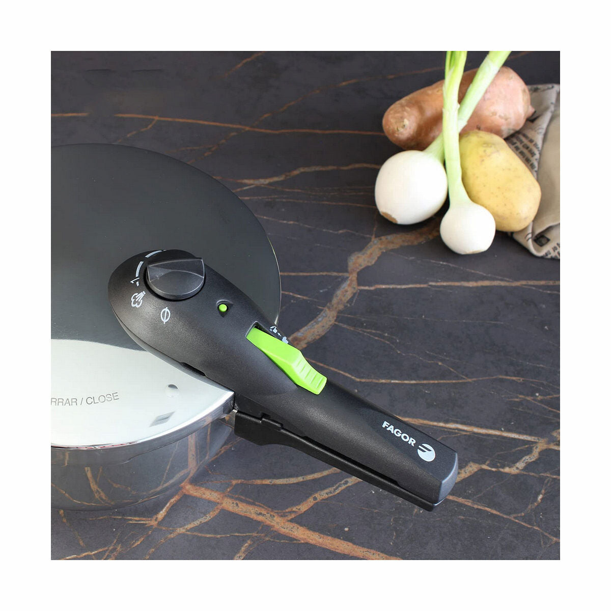 Pressure cooker FAGOR-1